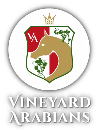 Vineyard Arabians logo